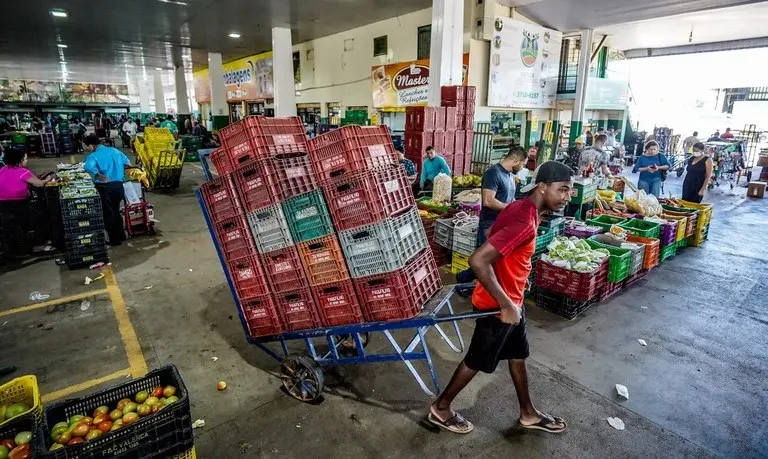 Pesquisa da Conab constata queda nos preços de alface, batata, mamão e laranja