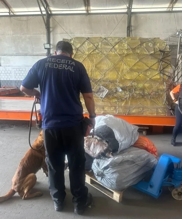 Receita Federal e Ibama apreendem carga de bexigas natatórias, também conhecidas como “bexigas de peixe”