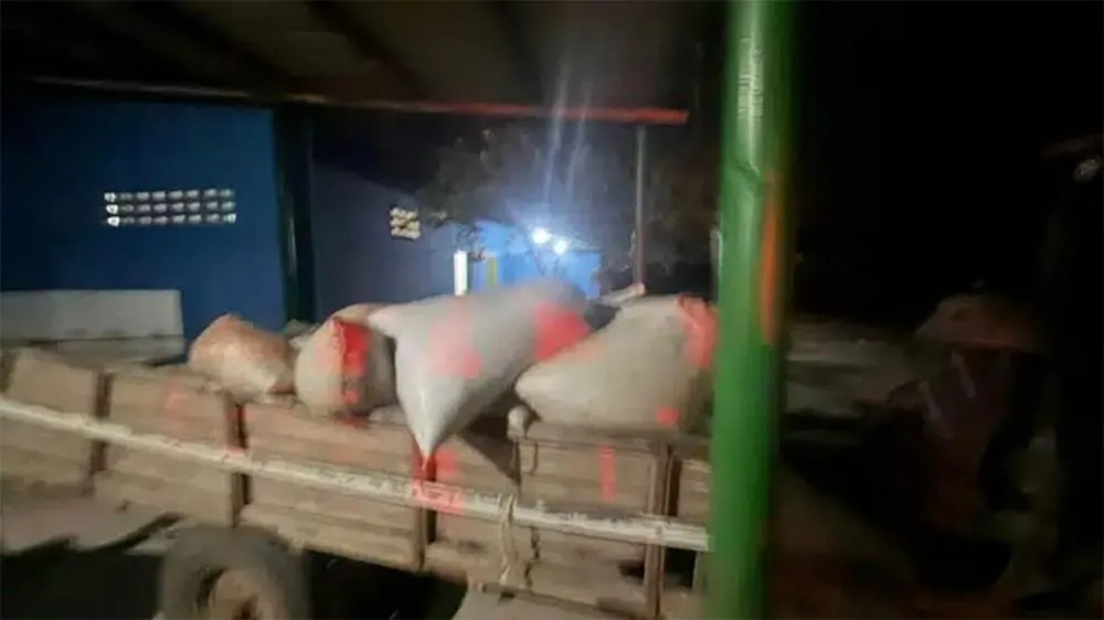 Criminosos roubam seis toneladas de pimenta-do-reino e fazem casal refém no Norte do ES