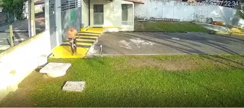 Homem é flagrado espancando o próprio cachorro