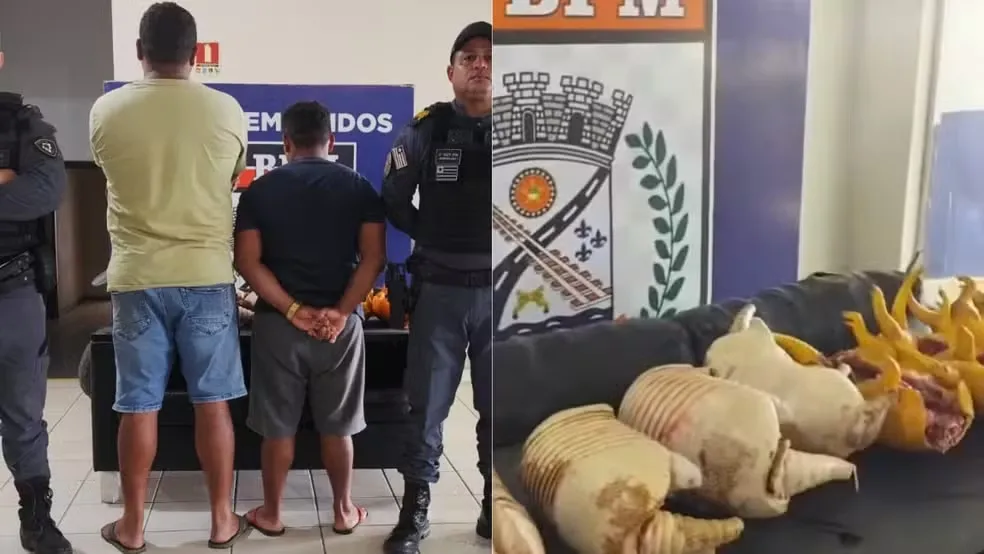 Homem é preso após ser flagrado transportando tatus abatidos na MA-125
