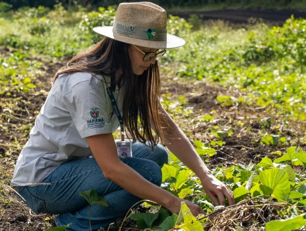 Governo destina R$ 909 milhões para pequenos produtores rurais