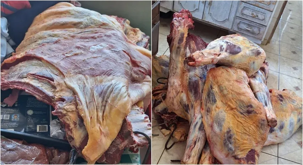 Carnes Vencidas e Moscas: Polícia Civil prende dono da “Casa de Carnes JL” por vender produtos impróprios