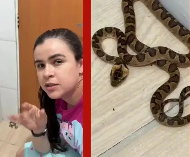 VÍDEO: mulher vai ao banheiro durante a madrugada, encontra cobra e decide voltar a dormir