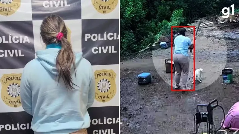 Divulgação/ Polícia Civil; Reprodução