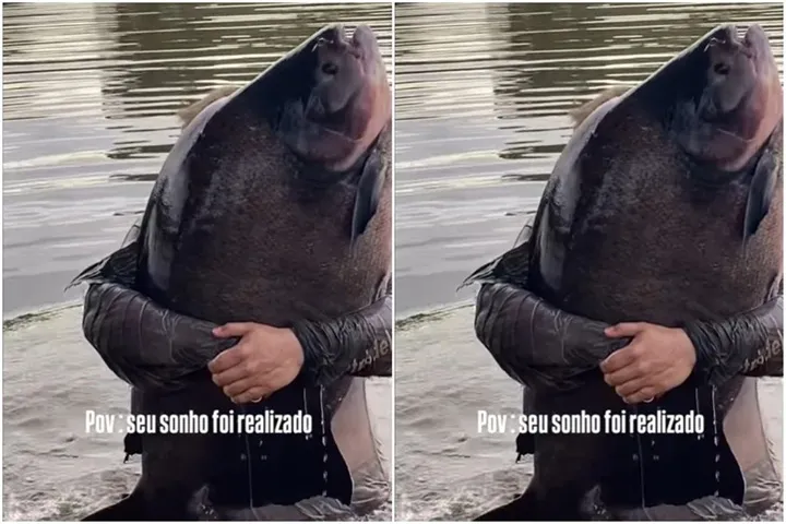 Reprodução