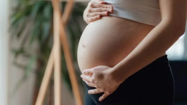 Saiba qual o valor do Bolsa Família para gestante em 2024
