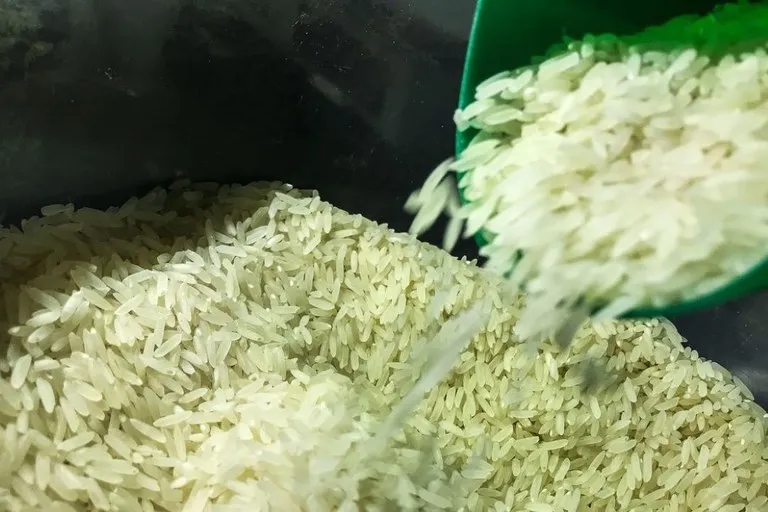 Governo seleciona estados para receber a primeira remessa de arroz a 4 reais o kg