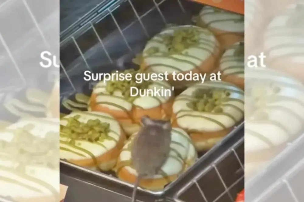 Sabor “Ratatouille”? Vídeo mostra rato em cima de donut exposto em vitrine