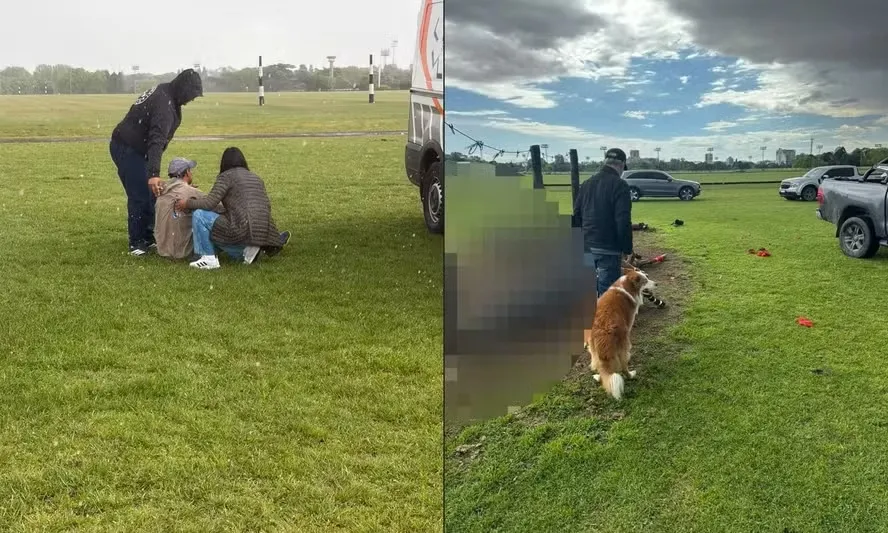 Raio atinge treino, mata 4 cavalos de alto valor e deixa sobreviventes surdos